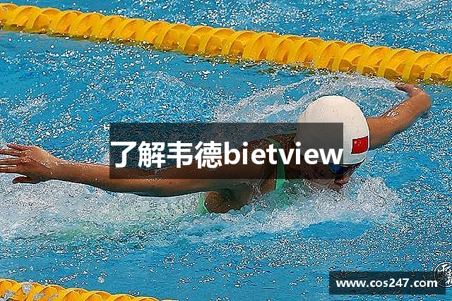 了解韦德bietview