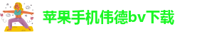 韦德bietview